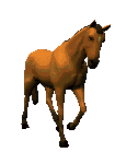 12330931.gif