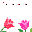 s7145.gif